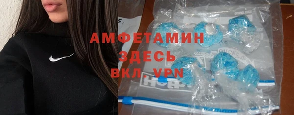крисы Абаза