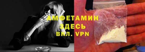крисы Абаза