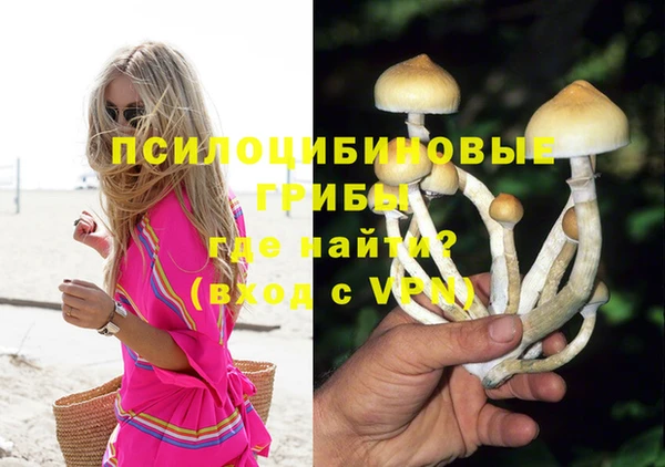 крисы Абаза