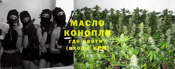 крисы Абаза