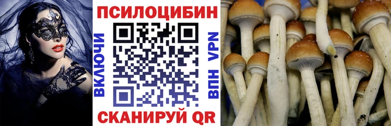 Псилоцибиновые грибы Psilocybine cubensis  KRAKEN tor  Каменка  хочу наркоту 
